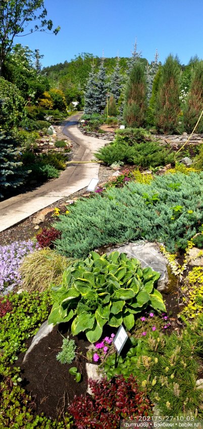 Волшебный Алтай. Часть 3 — Туризм и путешествия: фотоотчеты из поездок (фото 6)