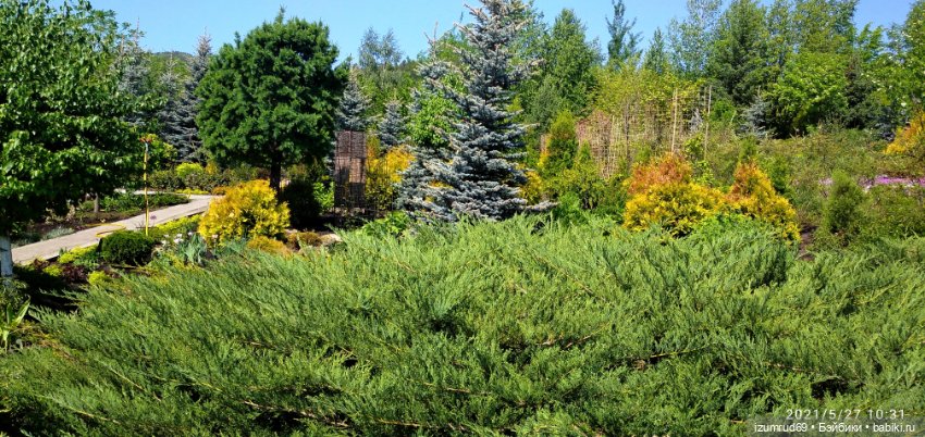 Волшебный Алтай. Часть 3 — Туризм и путешествия: фотоотчеты из поездок