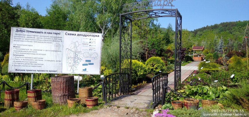 Волшебный Алтай. Часть 3 — Туризм и путешествия: фотоотчеты из поездок (фото 2)