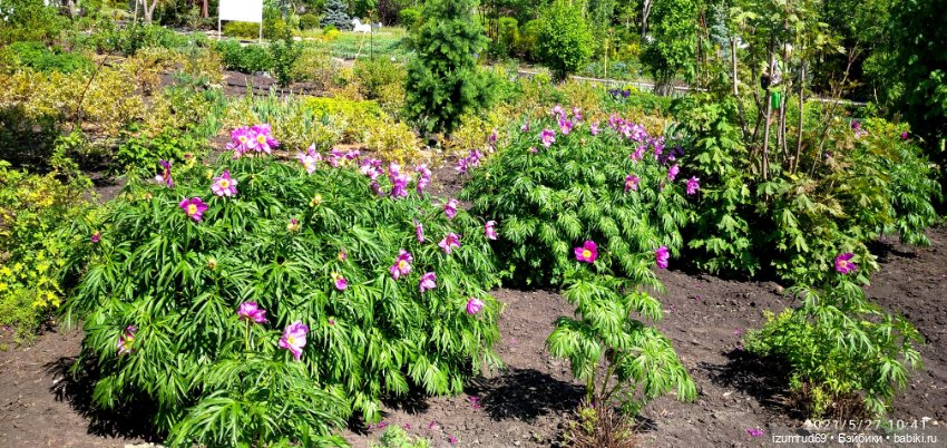 Волшебный Алтай. Часть 3 — Туризм и путешествия: фотоотчеты из поездок