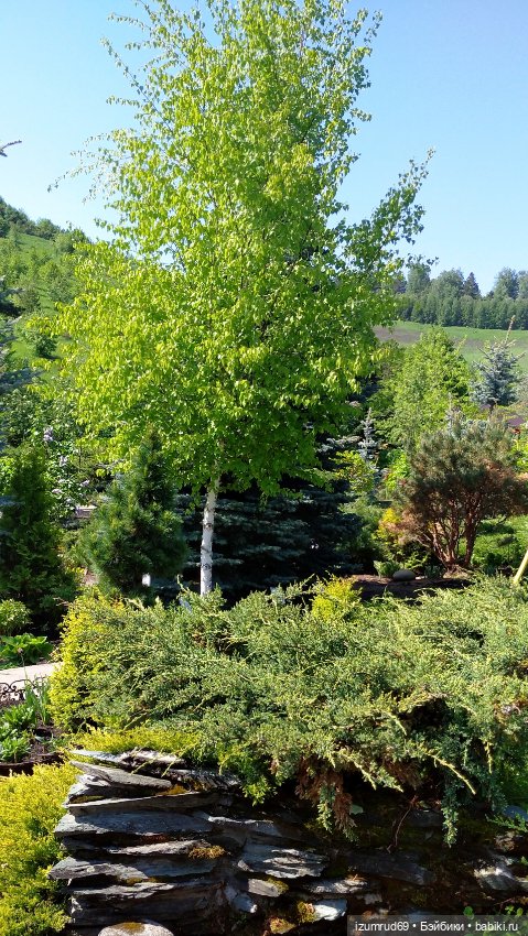 Волшебный Алтай. Часть 3 — Туризм и путешествия: фотоотчеты из поездок