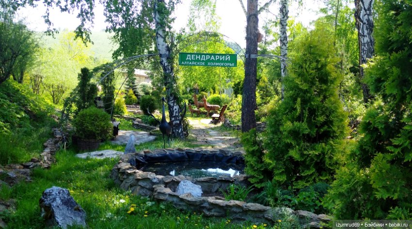 Волшебный Алтай. Часть 3 — Туризм и путешествия: фотоотчеты из поездок