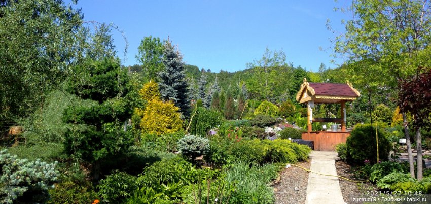 Волшебный Алтай. Часть 3 — Туризм и путешествия: фотоотчеты из поездок