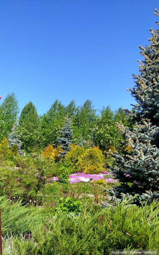 Волшебный Алтай. Часть 3 — Туризм и путешествия: фотоотчеты из поездок