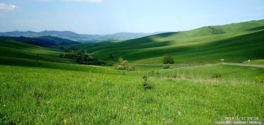 Волшебный Алтай. Часть 4 — Туризм и путешествия: фотоотчеты из поездок (фото 7)