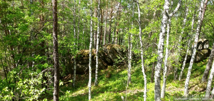 Волшебный Алтай. Часть 4 — Туризм и путешествия: фотоотчеты из поездок