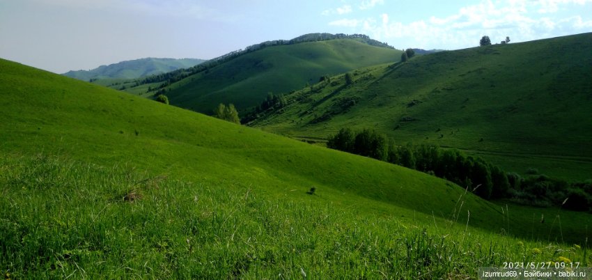 Волшебный Алтай. Часть 4 — Туризм и путешествия: фотоотчеты из поездок (фото 6)