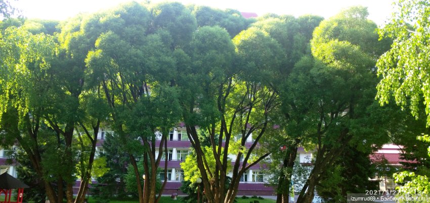 Волшебный Алтай. Часть 4 — Туризм и путешествия: фотоотчеты из поездок