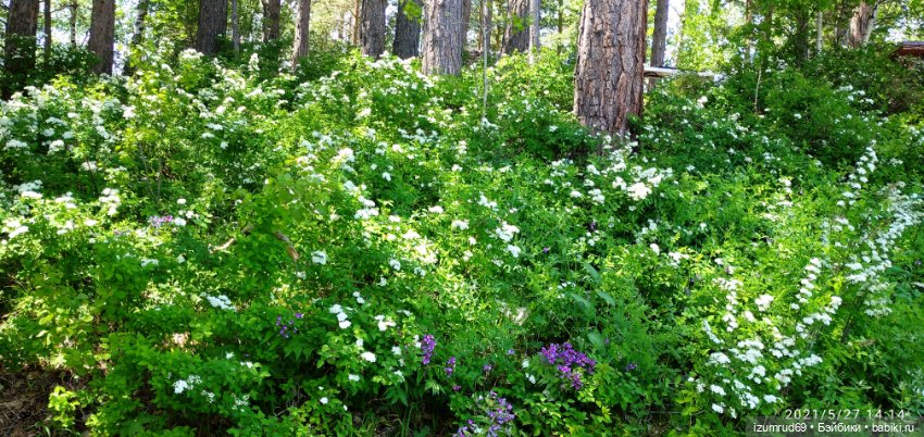 Волшебный Алтай. Часть 4 — Туризм и путешествия: фотоотчеты из поездок