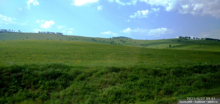 Волшебный Алтай. Часть 4 — Туризм и путешествия: фотоотчеты из поездок (фото 3)