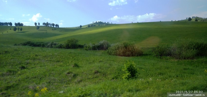 Волшебный Алтай. Часть 4 — Туризм и путешествия: фотоотчеты из поездок (фото 4)