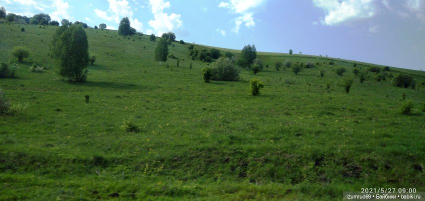 Волшебный Алтай. Часть 4 — Туризм и путешествия: фотоотчеты из поездок (фото 2)