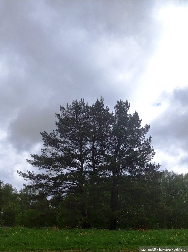 Волшебный Алтай. Часть 5 — Туризм и путешествия: фотоотчеты из поездок (фото 9)