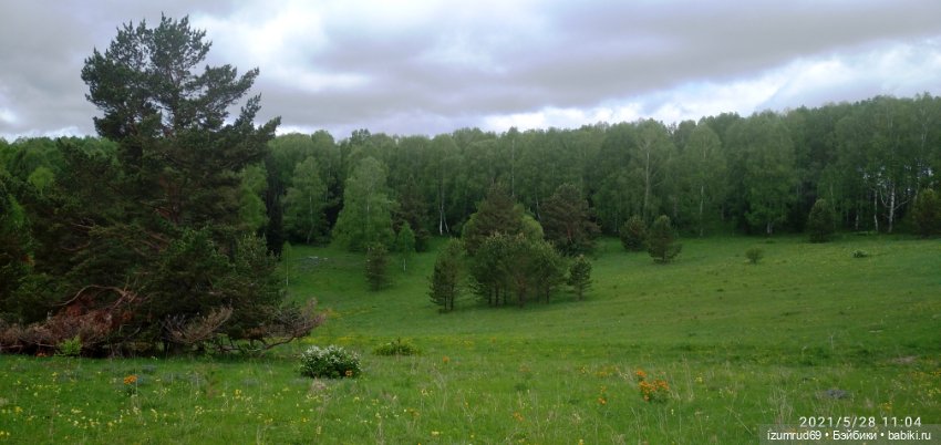 Волшебный Алтай. Часть 5 — Туризм и путешествия: фотоотчеты из поездок (фото 8)