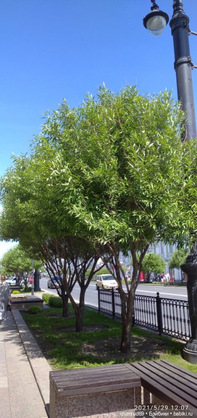 Волшебный Алтай. Часть 5 — Туризм и путешествия: фотоотчеты из поездок