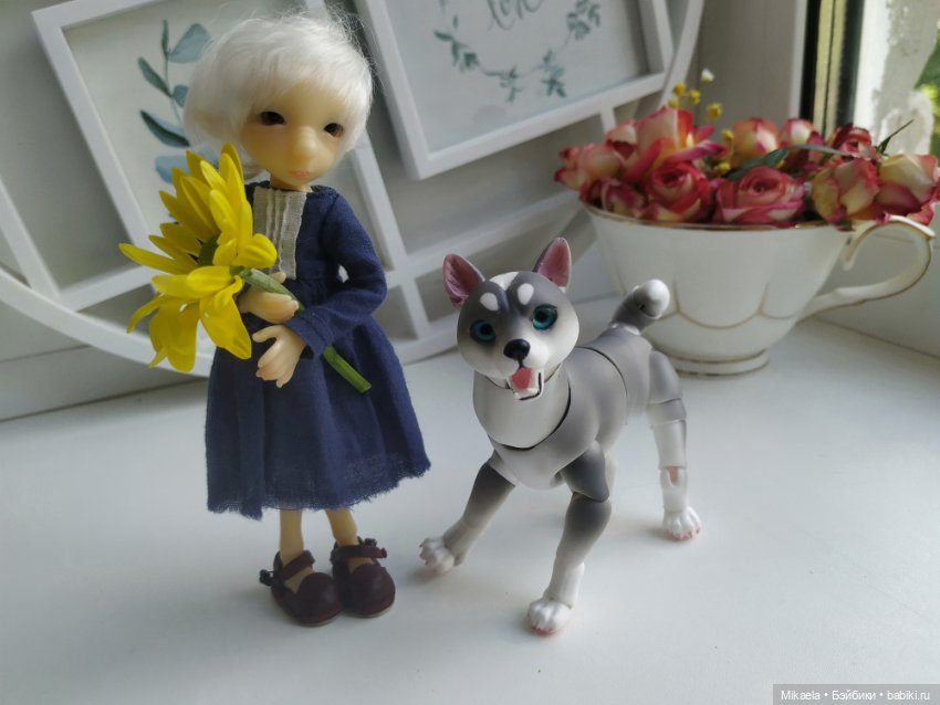 Хаски-голубые глазки — Фотоистории с куклами BJD (БЖД): сериалы (фото 4)
