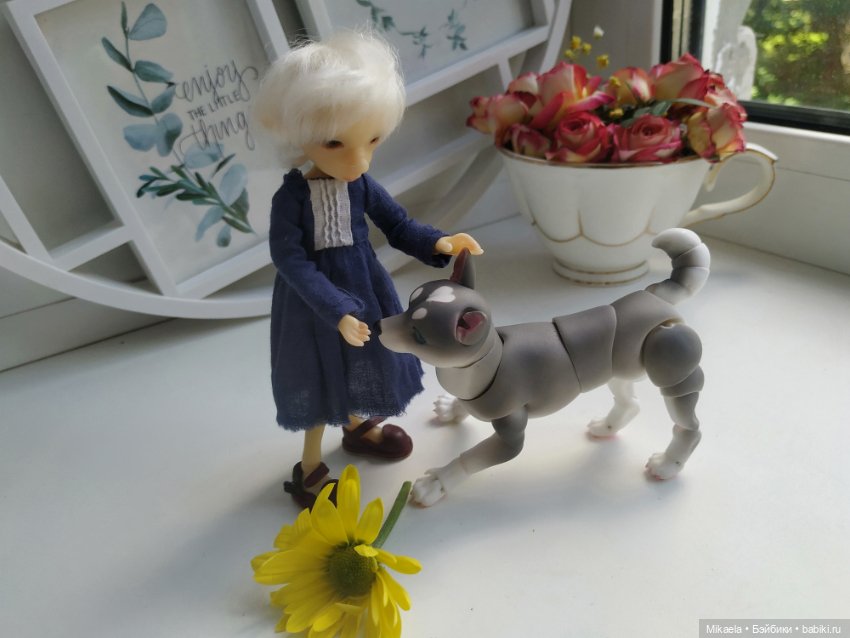 Хаски-голубые глазки — Фотоистории с куклами BJD (БЖД): сериалы (фото 2)