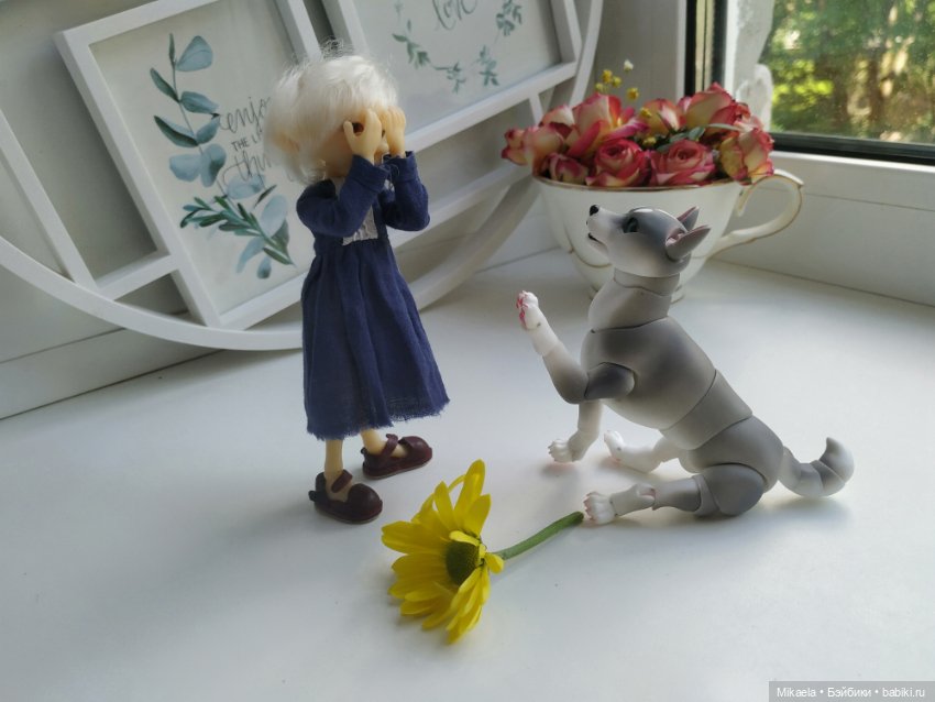Хаски-голубые глазки — Фотоистории с куклами BJD (БЖД): сериалы