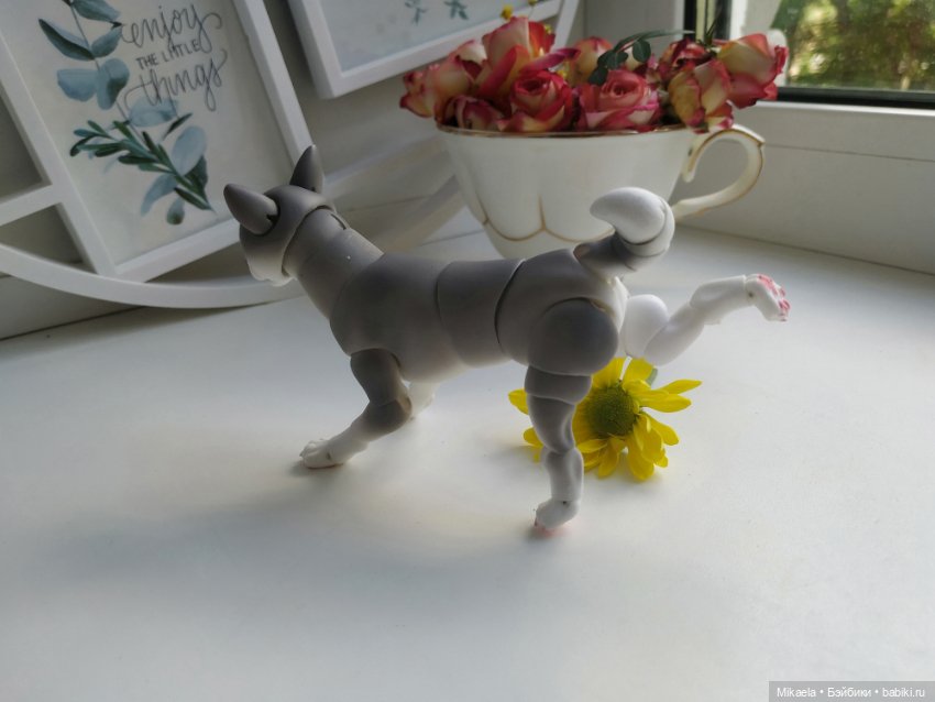 Хаски-голубые глазки — Фотоистории с куклами BJD (БЖД): сериалы (фото 10)