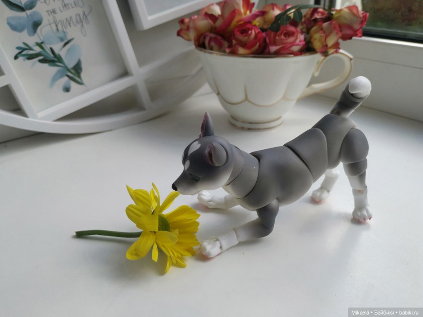 Хаски-голубые глазки — Фотоистории с куклами BJD (БЖД): сериалы (фото 9)