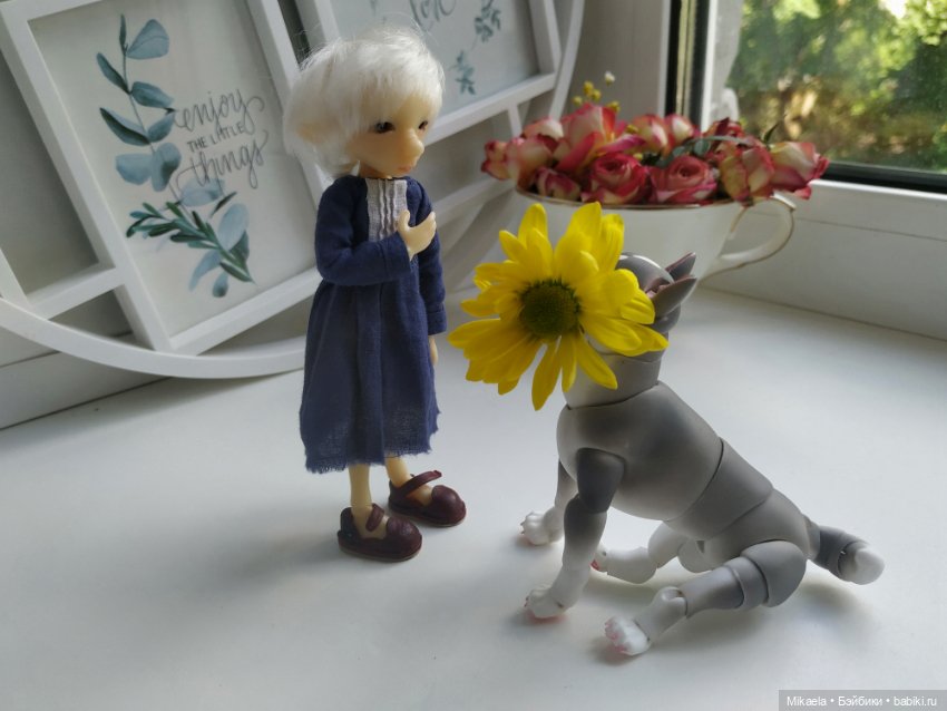 Хаски-голубые глазки — Фотоистории с куклами BJD (БЖД): сериалы (фото 3)