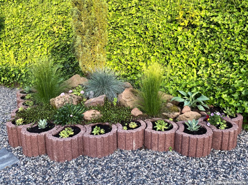 Лето, сад, цветы — Болталка и разговоры обо всем: жизнь