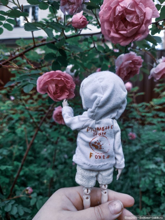 Алиса — Домашние фото авторских кукол: личные коллекции (фото 2)