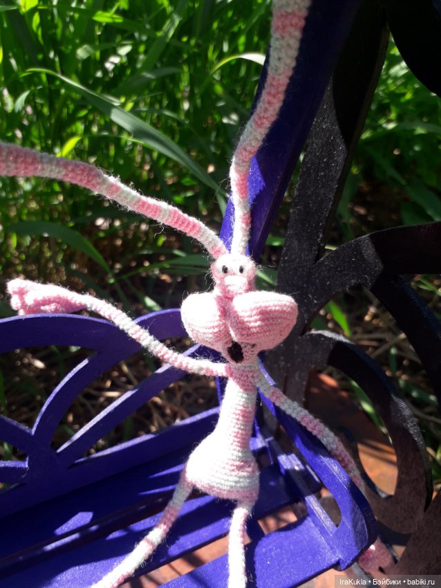 И снова Крендель — Другие хобби и увлечения: сад (фото 2)