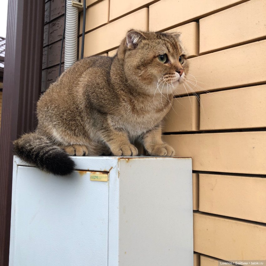 Дождливый день — Болталка и разговоры обо всем: жизнь