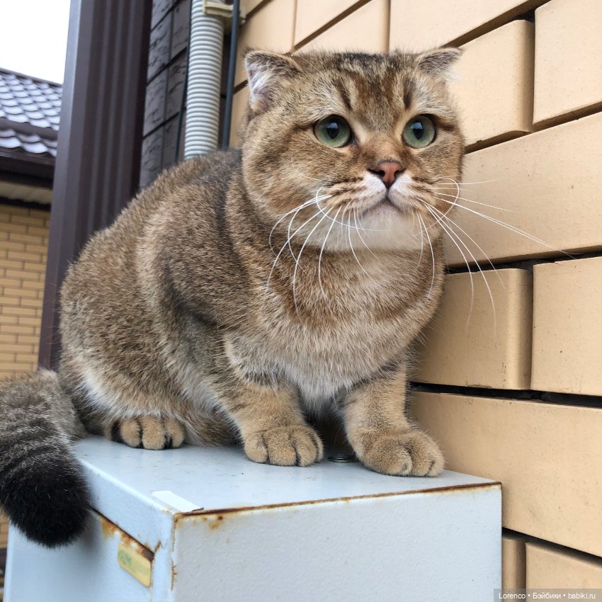 Дождливый день — Болталка и разговоры обо всем: жизнь