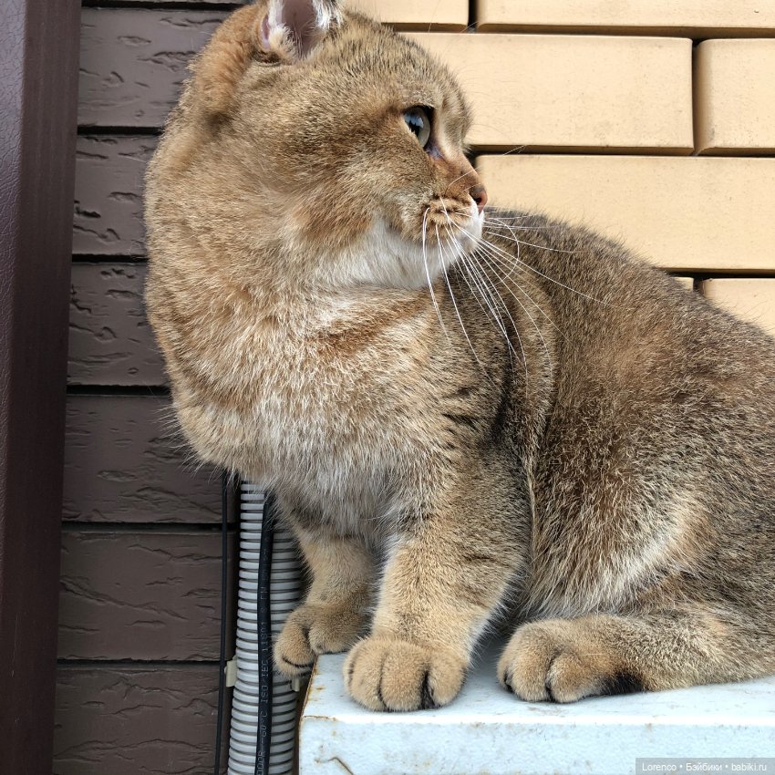 Дождливый день — Болталка и разговоры обо всем: жизнь (фото 8)