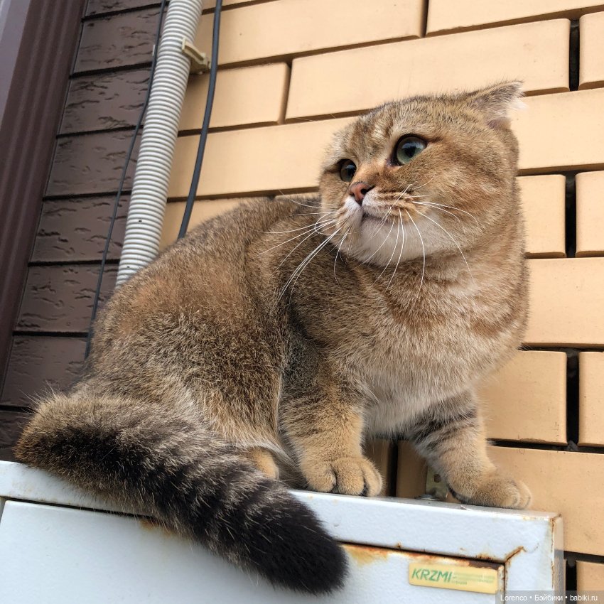 Дождливый день — Болталка и разговоры обо всем: жизнь