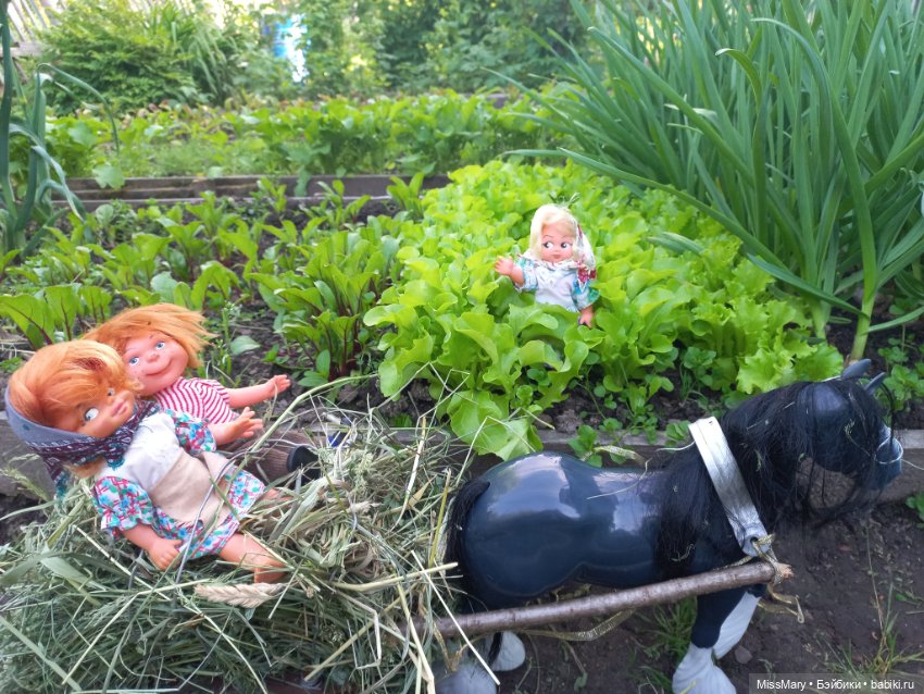 Деревенские мотивы. Ехал Сеня, вёз с покоса сено