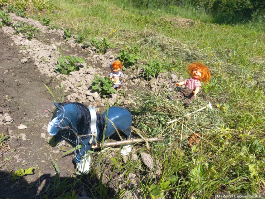 Деревенские мотивы. Ехал Сеня, вёз с покоса сено (фото 9)