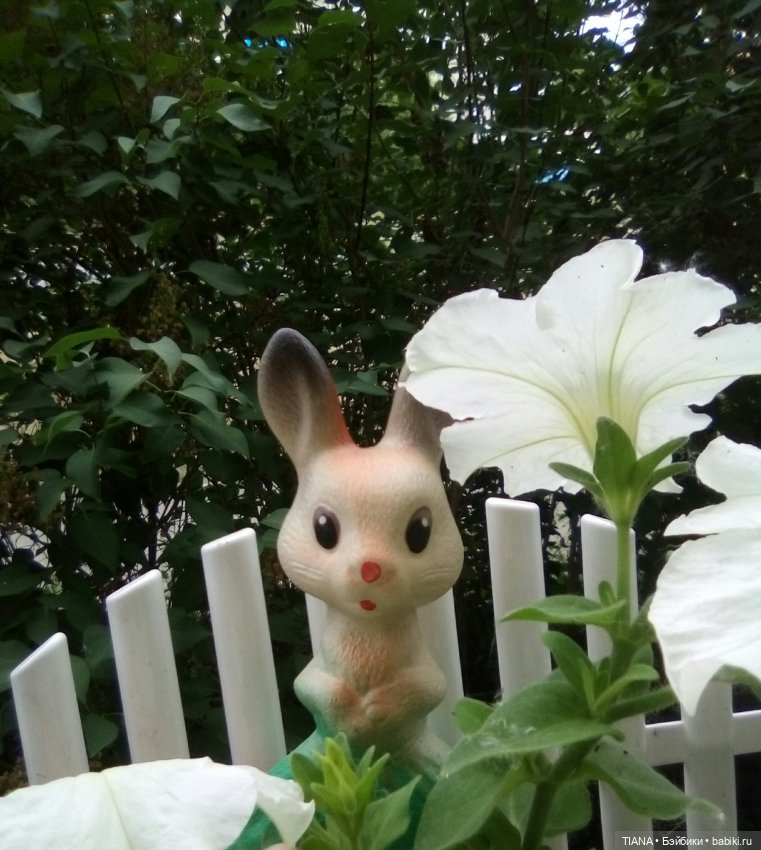 Зайка из прошлого — Игрушки СССР и советского детства: резиновые (фото 5)