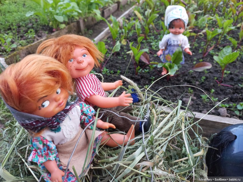 Деревенские мотивы. Ехал Сеня, вёз с покоса сено