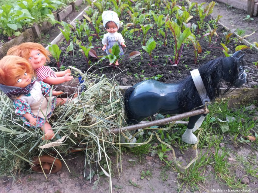 Деревенские мотивы. Ехал Сеня, вёз с покоса сено