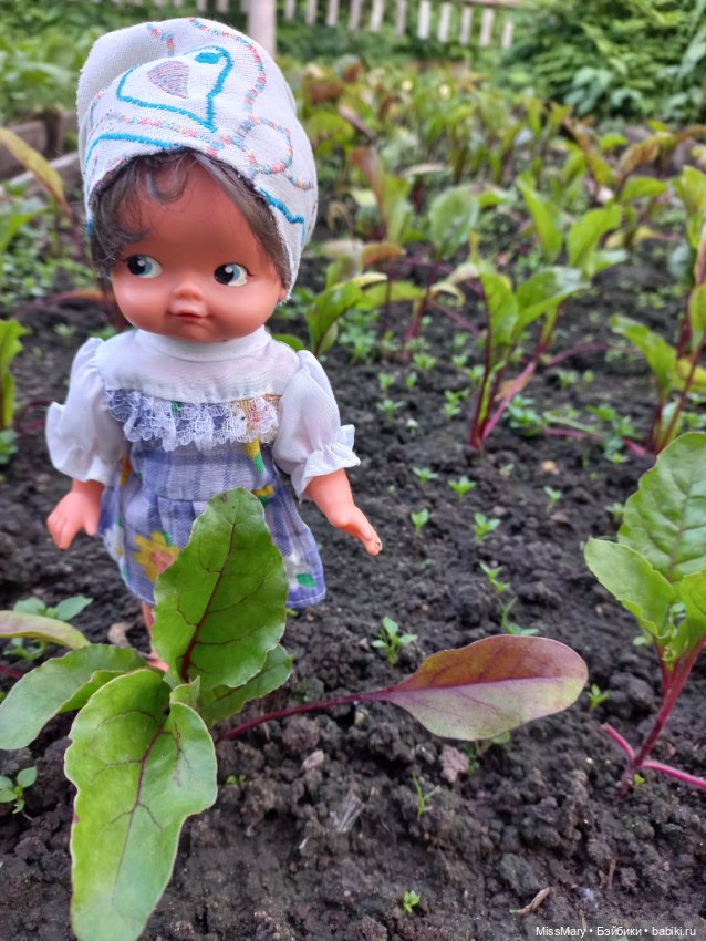 Деревенские мотивы. Ехал Сеня, вёз с покоса сено