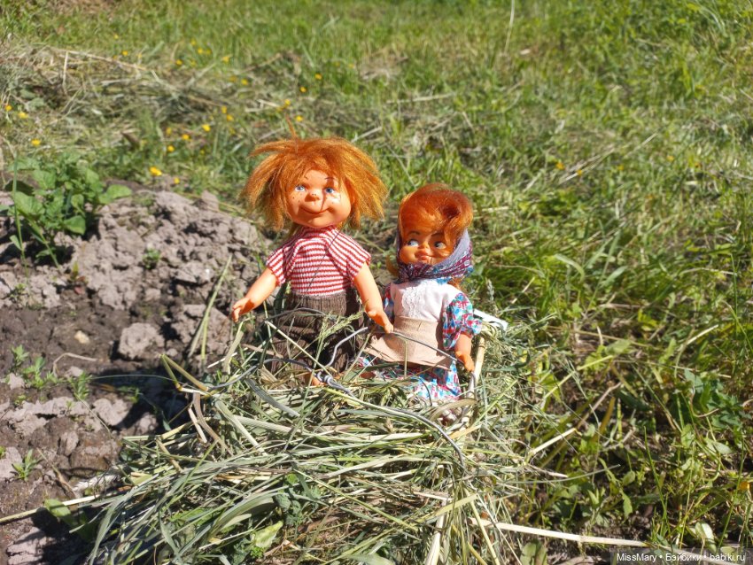 Деревенские мотивы. Ехал Сеня, вёз с покоса сено