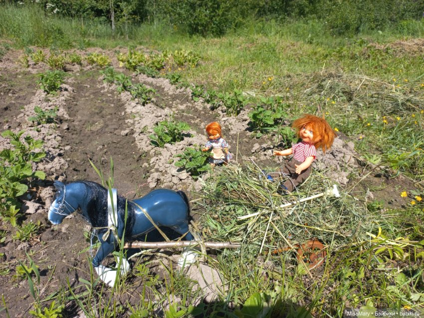 Деревенские мотивы. Ехал Сеня, вёз с покоса сено (фото 10)