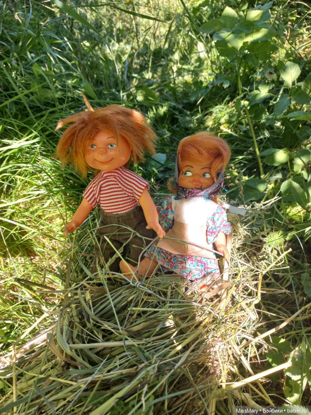 Деревенские мотивы. Ехал Сеня, вёз с покоса сено