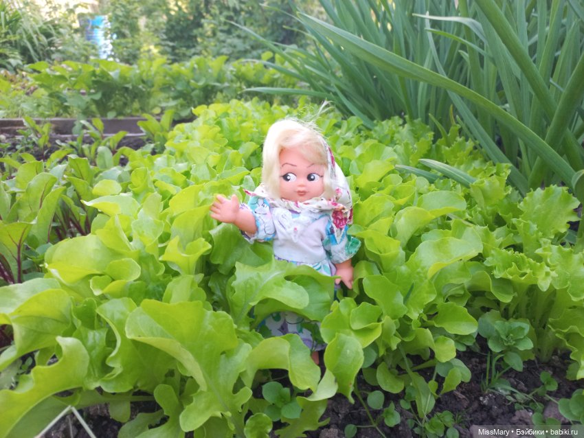 Деревенские мотивы. Ехал Сеня, вёз с покоса сено