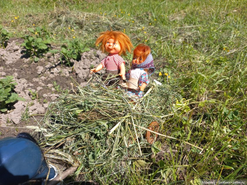 Деревенские мотивы. Ехал Сеня, вёз с покоса сено