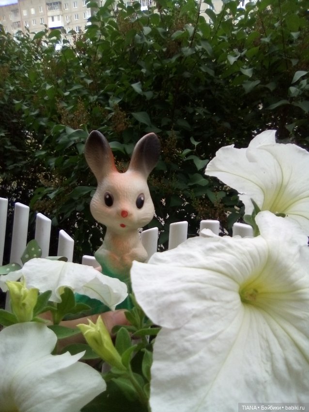 Зайка из прошлого — Игрушки СССР и советского детства: резиновые (фото 3)