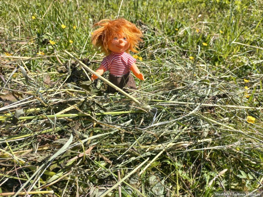 Деревенские мотивы. Ехал Сеня, вёз с покоса сено (фото 4)