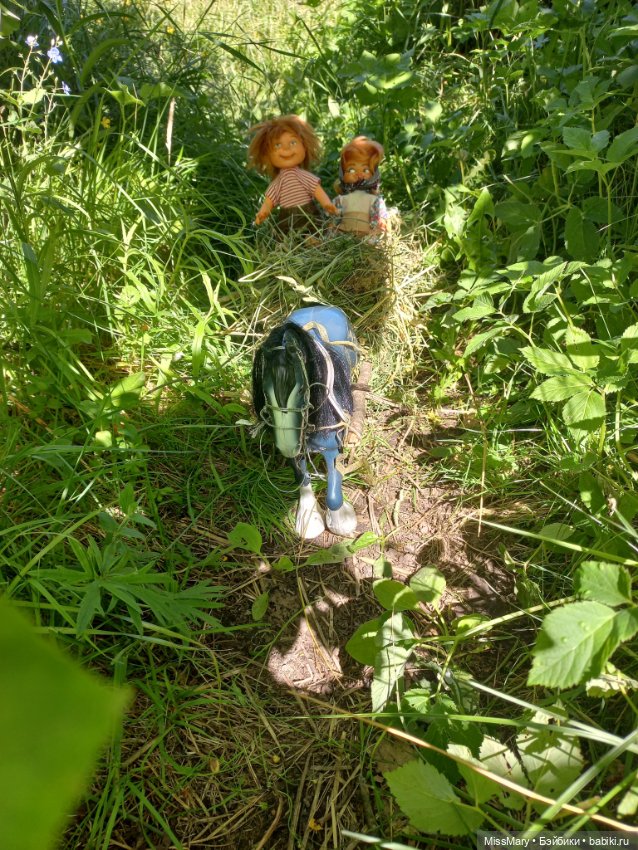 Деревенские мотивы. Ехал Сеня, вёз с покоса сено