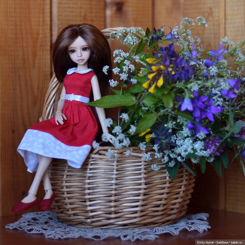 Полевые цветы для Софочки