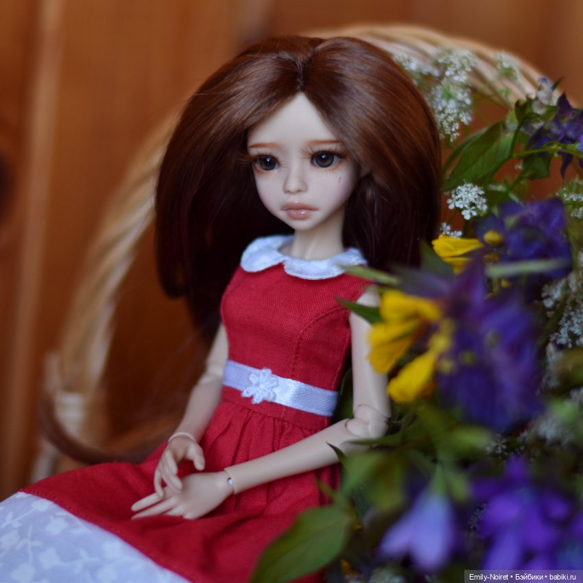 Полевые цветы для Софочки (фото 6)