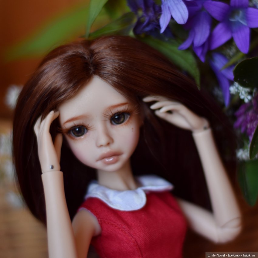 Полевые цветы для Софочки (фото 9)