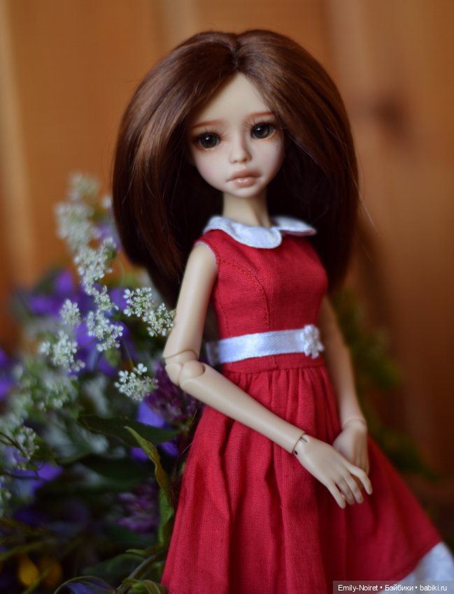 Полевые цветы для Софочки (фото 8)